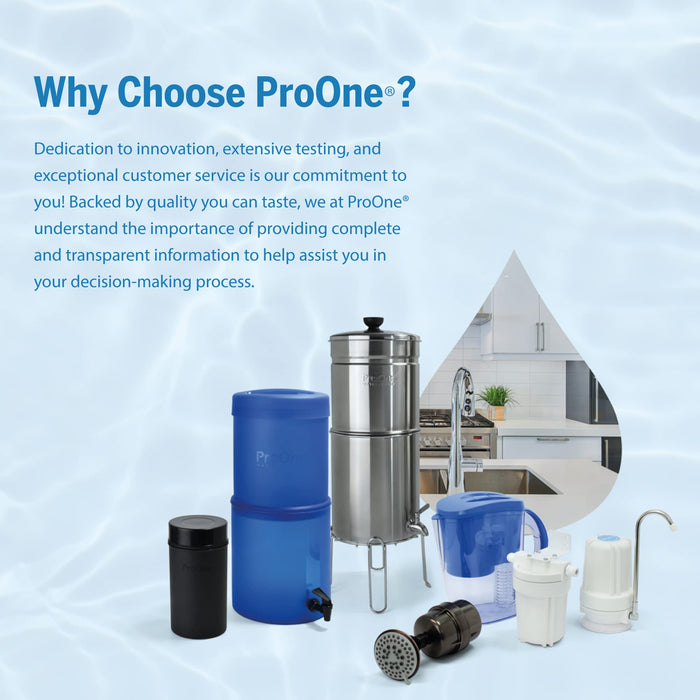 ProOne ProMax Chrome Shower Filter