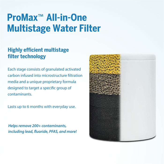 ProOne ProMax Chrome Shower Filter